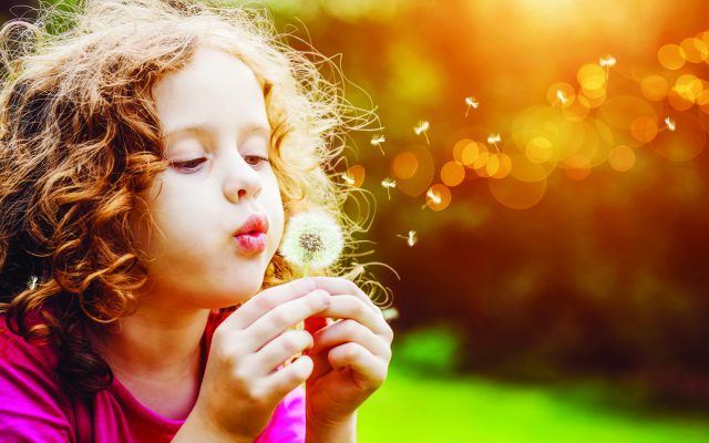girl blowing on a dandelion