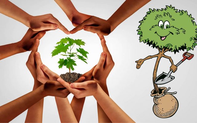 Tree ready to be planted by caring people.
