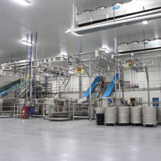 Castellini Interior 2