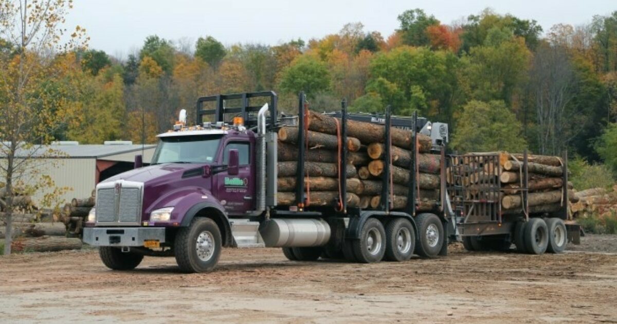 Baillie Lumber Takes on Heavy Lift of SAP S/4HANA Implementation Part