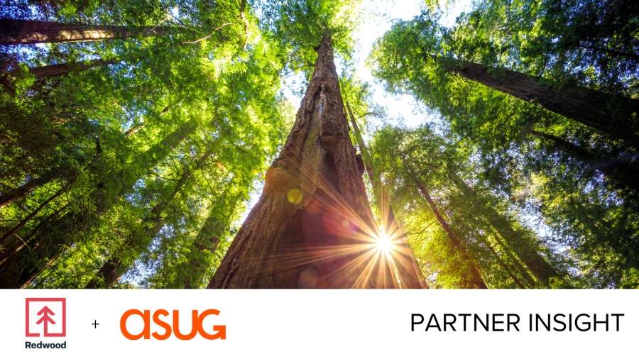 Copy of Partner Insight Template 4