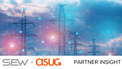 Copy of Copy of Partner Insight Template 5