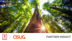 Copy of Partner Insight Template 4