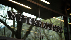 Shutterstock 1380977150 1