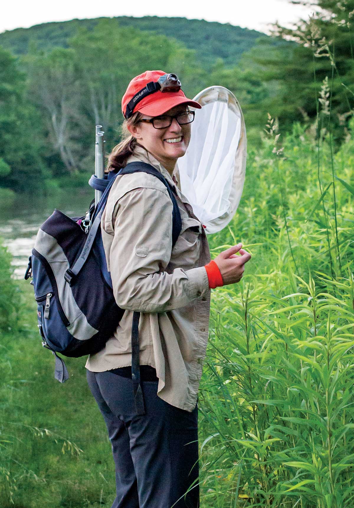 Professor Sarah Lower hunts for Chinese lantern fireflies in the vegetation Professor Sarah Lower hunts for Chinese lantern fireflies in the vegetation
