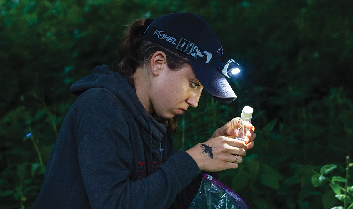 Sarah Bain ’21 checks to see if the firefly she caught is male or female Sarah Bain ’21 checks to see if the firefly she caught is male or female