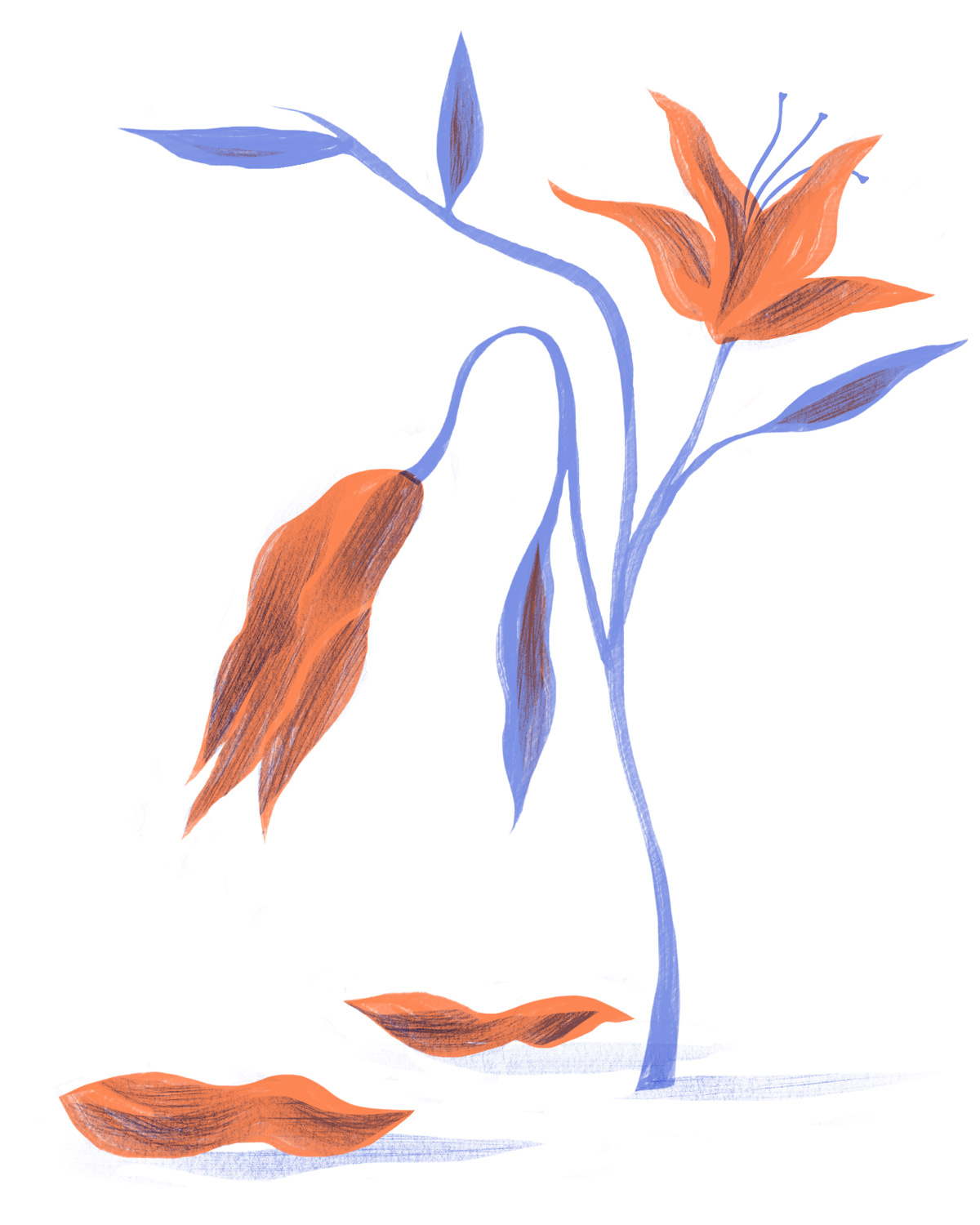 Illustration of a flower with fallen petals Orange and purple illustration of a flower with fallen petals
