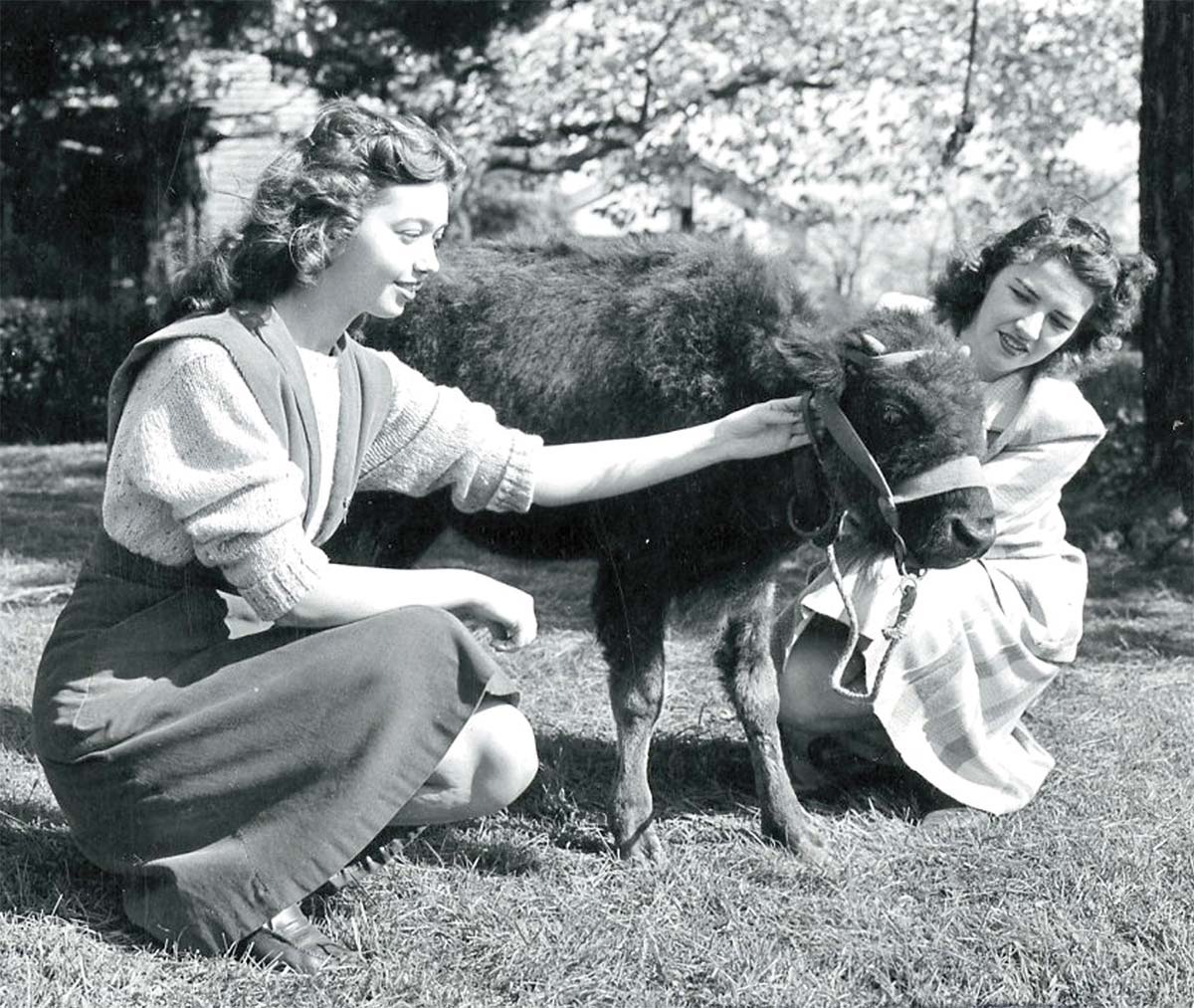 Shirley Shumberger and Jean McKernan Shirley Shumberger and Jean McKernan with Bucky, who made his first appearance at the 1946 Centennial Homecoming game