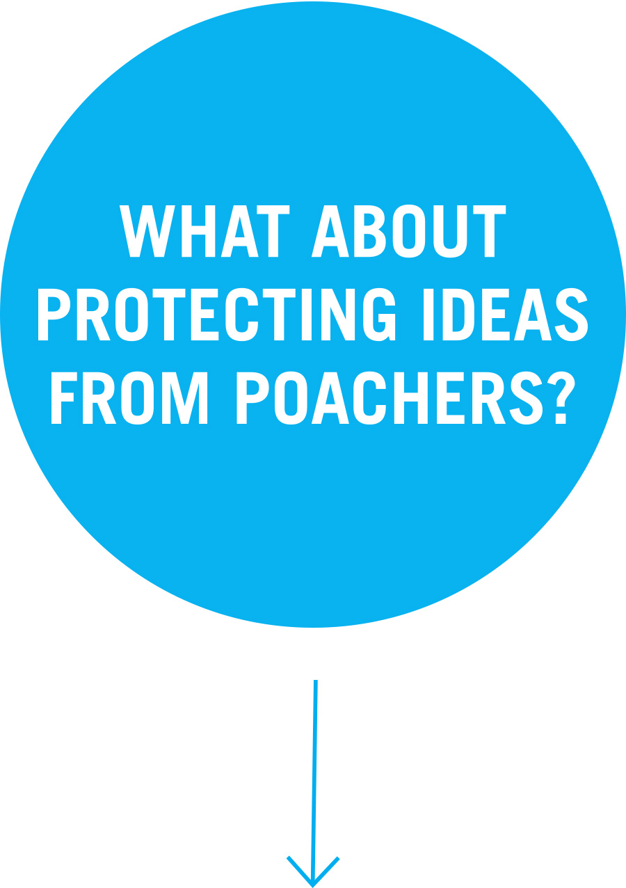 What about protecting ideas from poachers? Question 5: What about protecting ideas from poachers?