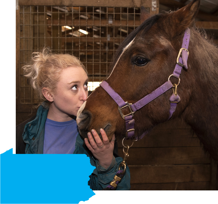 Mara Vinnik ’19 Mara Vinnik ’19 takes a shine to Shaddo, a rescued Arabian at Professor Jamie Hendry's farm