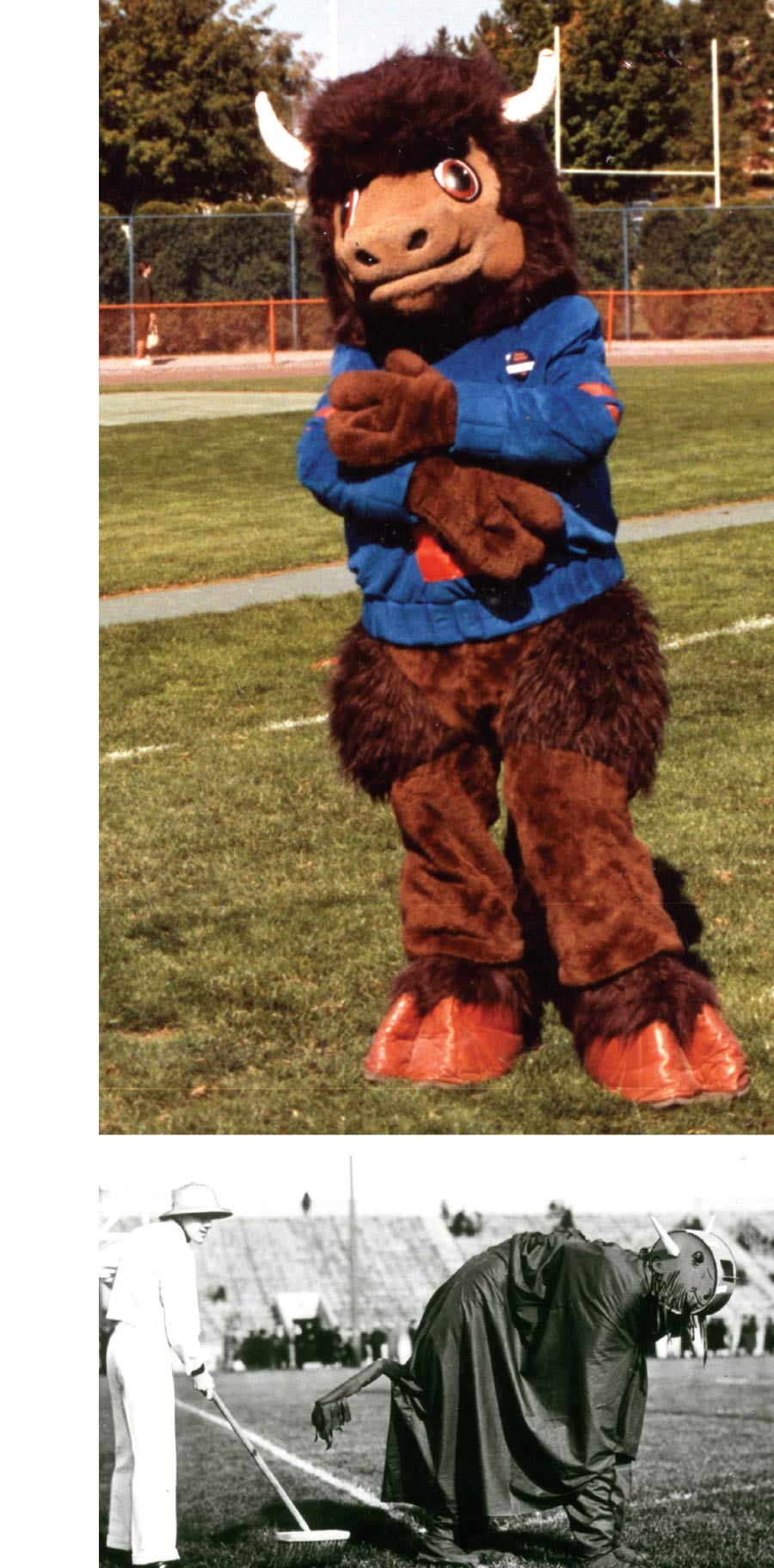 Bucky in 1985 The Bison mascot with his cleanup crew at the 1936 Homecoming game against Lafayette
