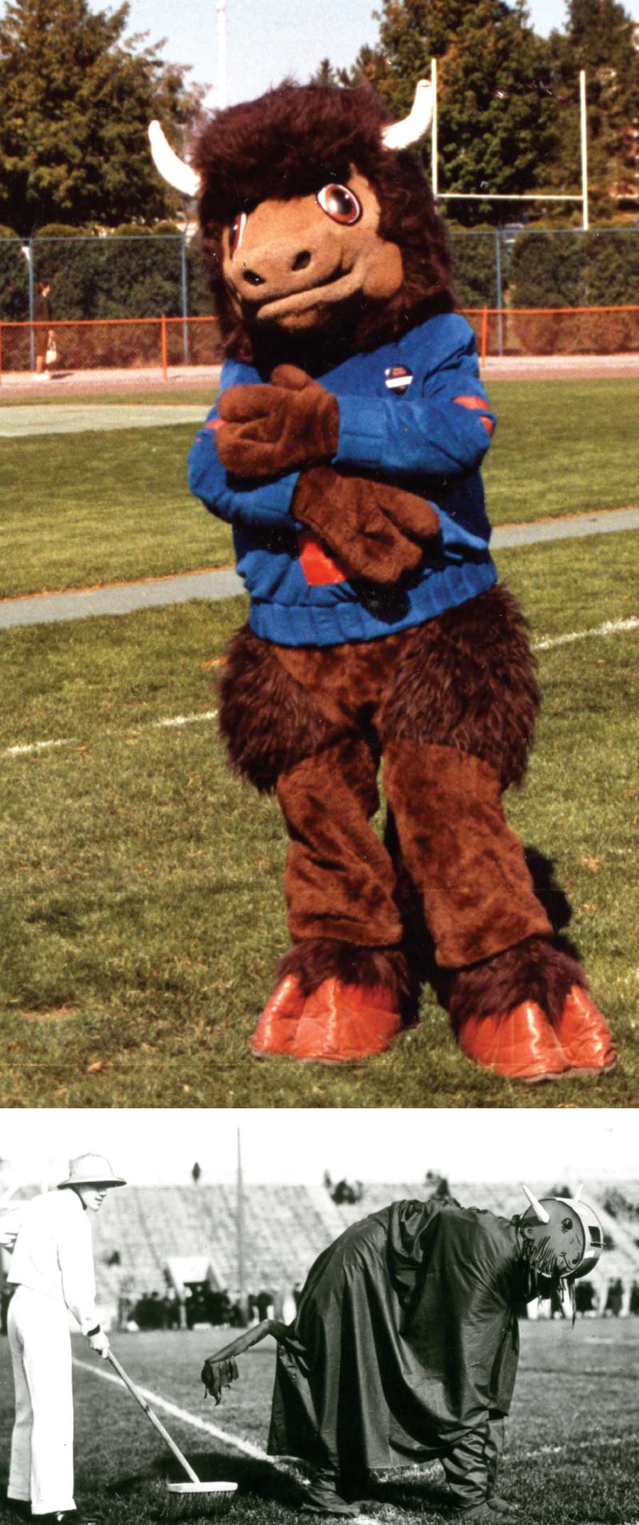 Bucky in 1985 The Bison mascot with his cleanup crew at the 1936 Homecoming game against Lafayette