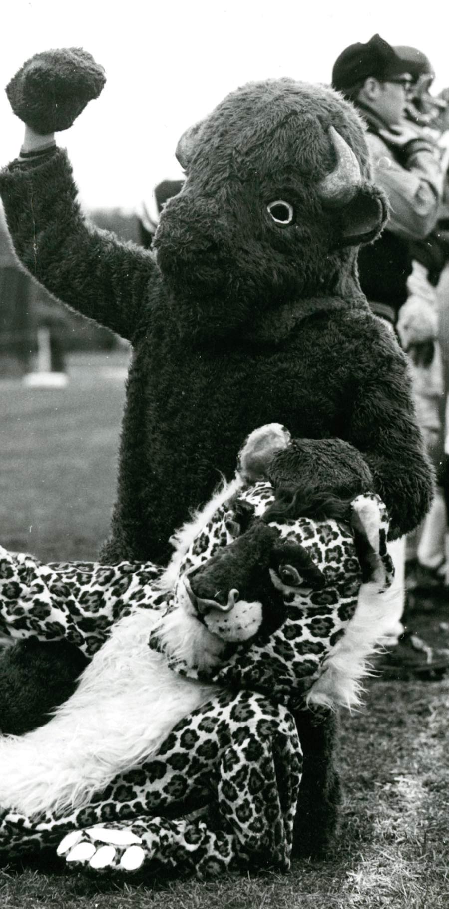 Bucky and his opponent Bucky trounces his opponent in this undated photo.
