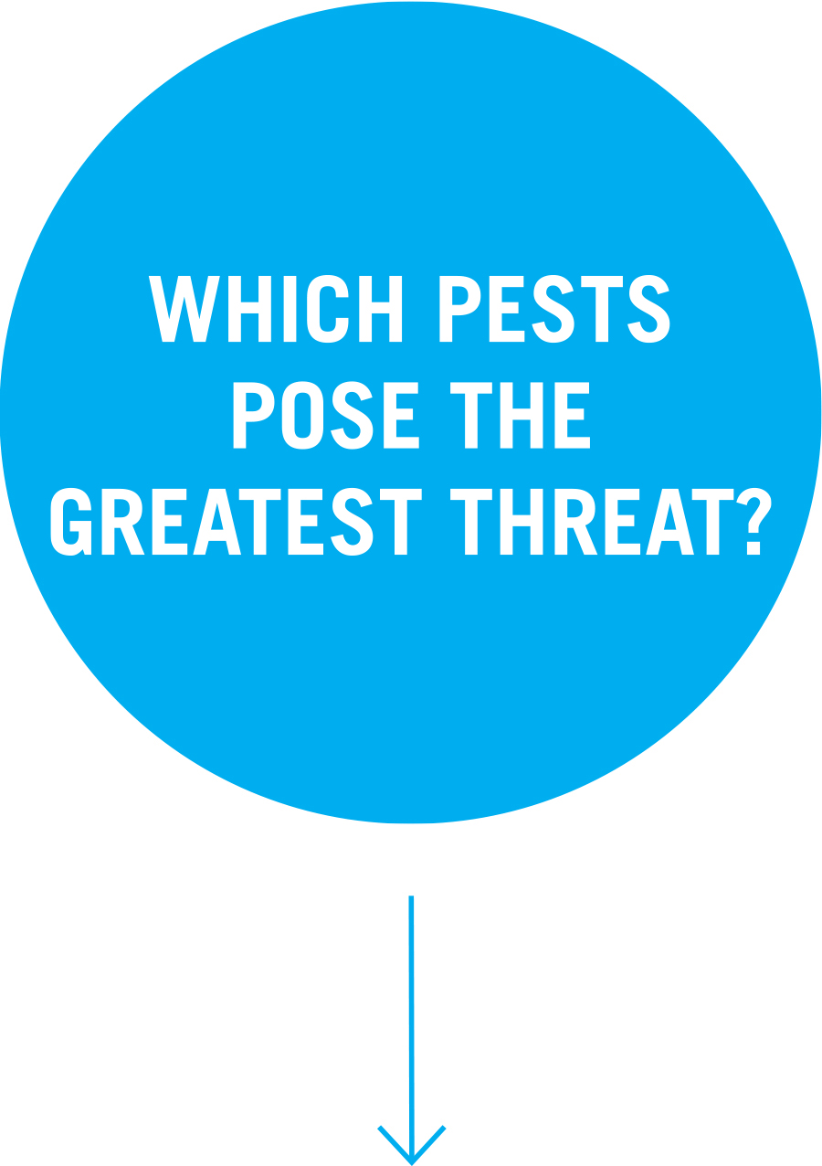 Question 2: Which pests pose the greatest threat?