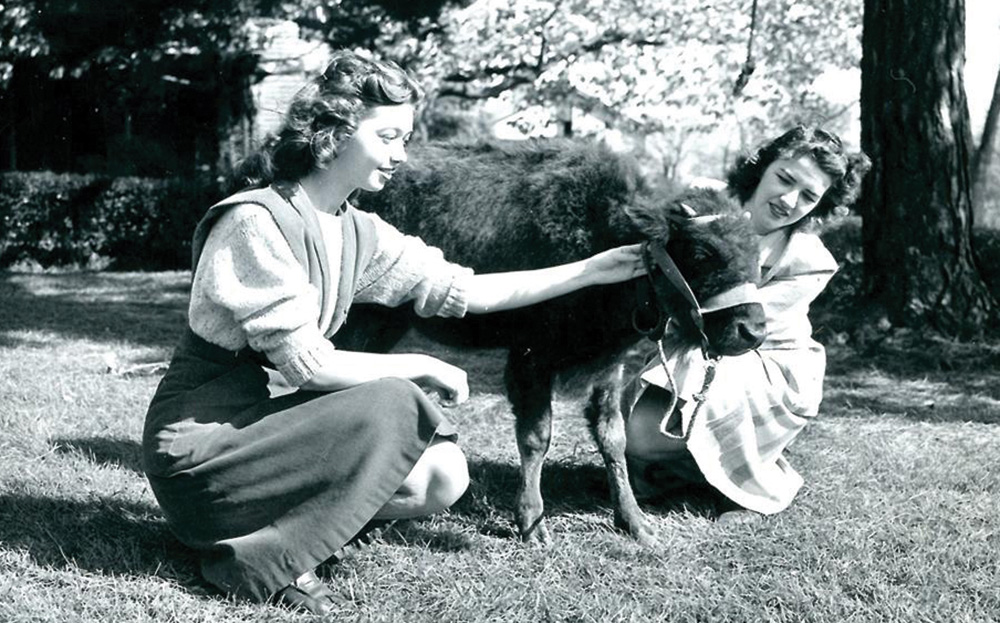 Shirley Shumberger ’49, left, and Jean McKernan ’47 with Bucky, the Bucknell Bison Shirley Shumberger ’49, left, and Jean McKernan ’47 with Bucky
