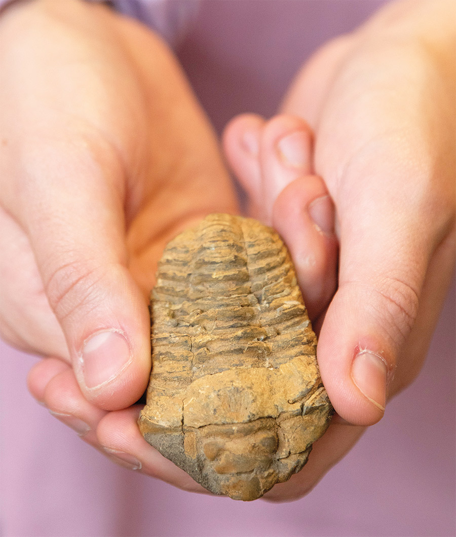 Ali Reach's fossils that her high-school science teacher gave her Ali Reach shows her fossils that her high-school science teacher gave her