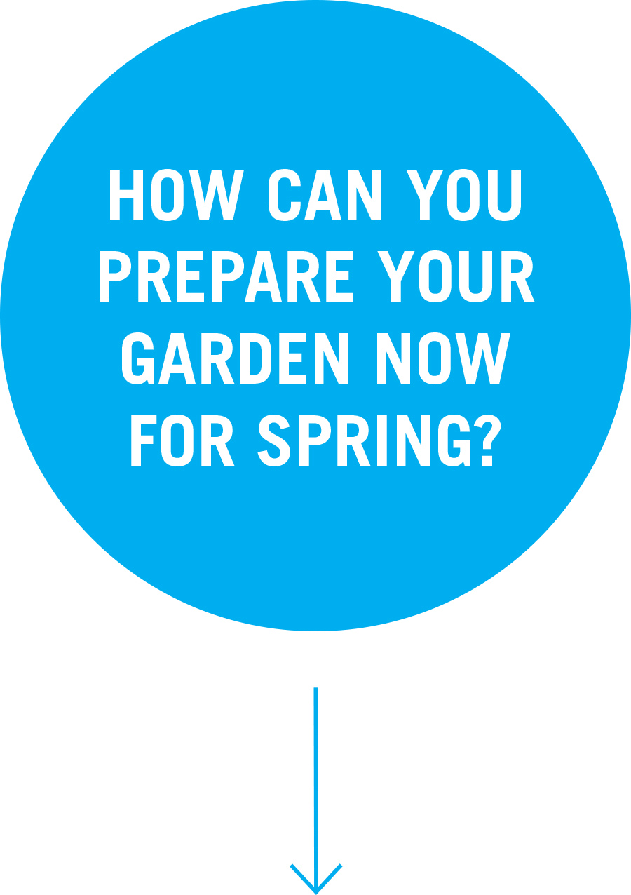 Question 1: How can you prepare your garden now for spring?