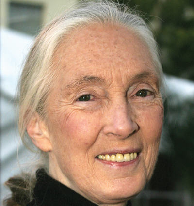 Jane Goodall headshot