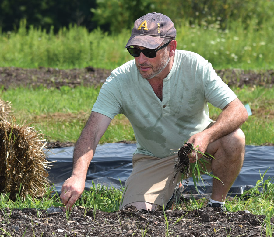 Mark Spiro Mark Spiro pulls weeds from a test bed at the campus farm.