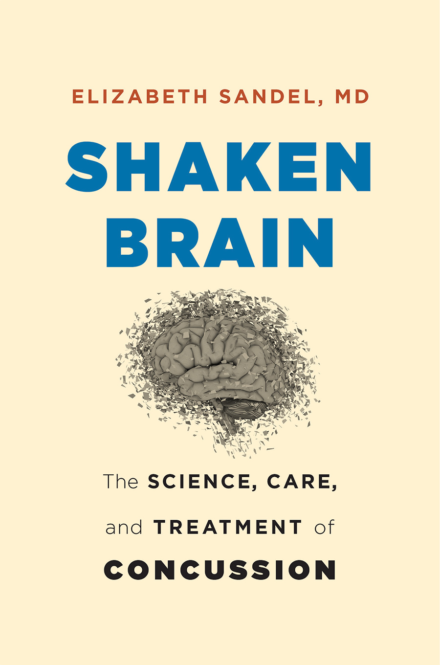 Shaken Brain book cover Shaken Brain book cover by Dr. Elizabeth Sandel ’71