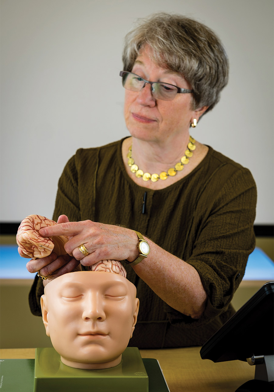 Dr. Elizabeth Sandel ’71 Dr. Elizabeth Sandel ’71 reveals the risks and the prevalence of traumatic brain injuries
