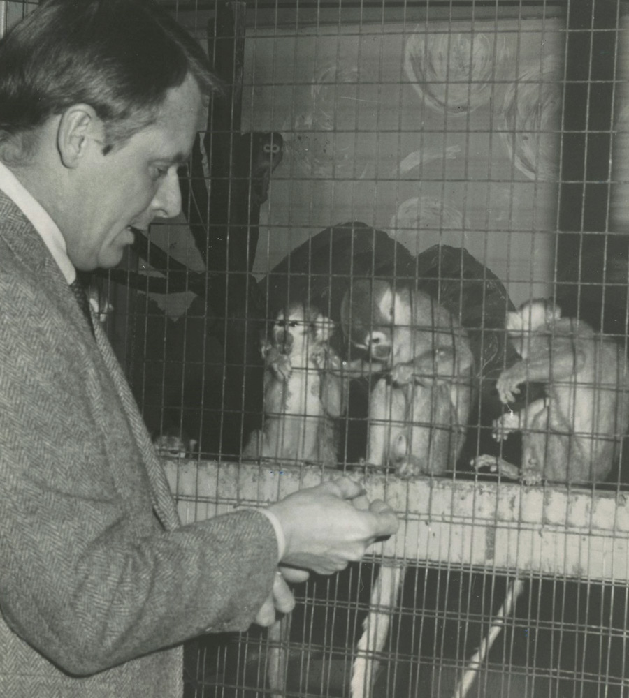 Primate Lab in 1986 Doug Candland greeting animals in the primate lab