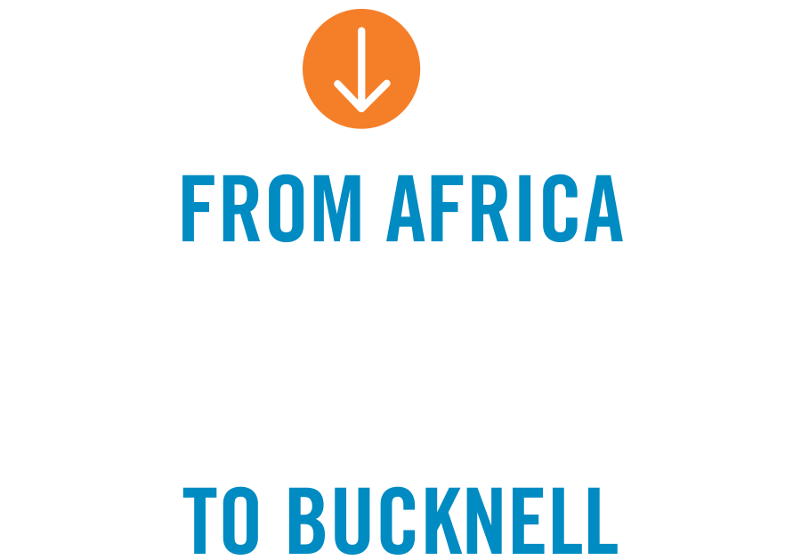 From Africa to Bucknell From Africa to Bucknell typography
