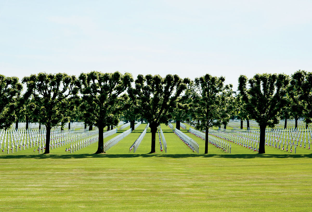 Military cemetery Military cemetery lined with trees