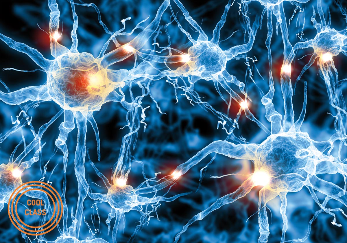 Neuroethics close view of neurons firing