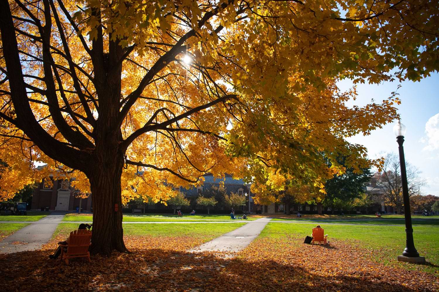 The sun breaks through trees that bower students relaxing in seasonally appropriate orange Adirondack chairs. SUN-DAPPLED SERENITY: The sun breaks through trees that bower students relaxing in seasonally appropriate orange Adirondack chairs.