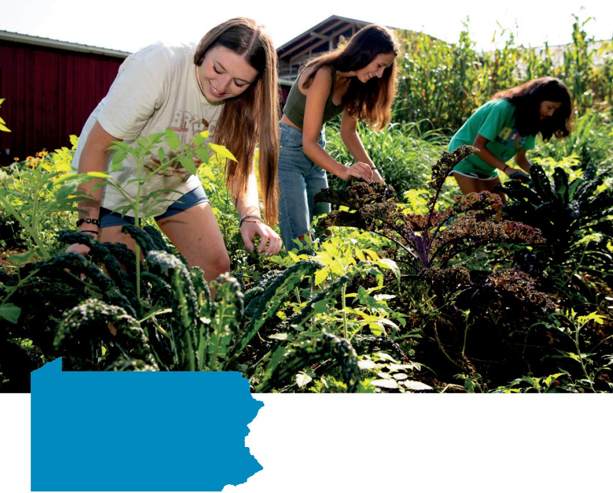 students working in the garden at Walnut Acres
