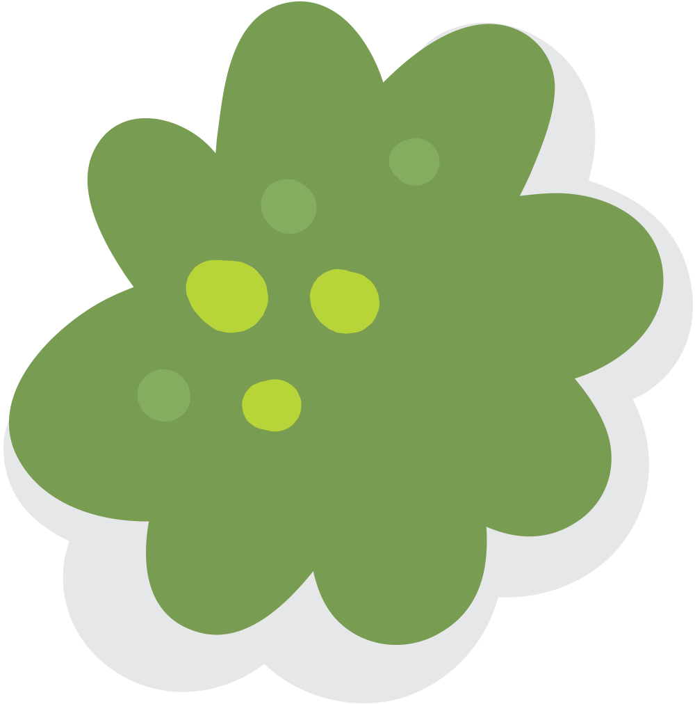 Bush