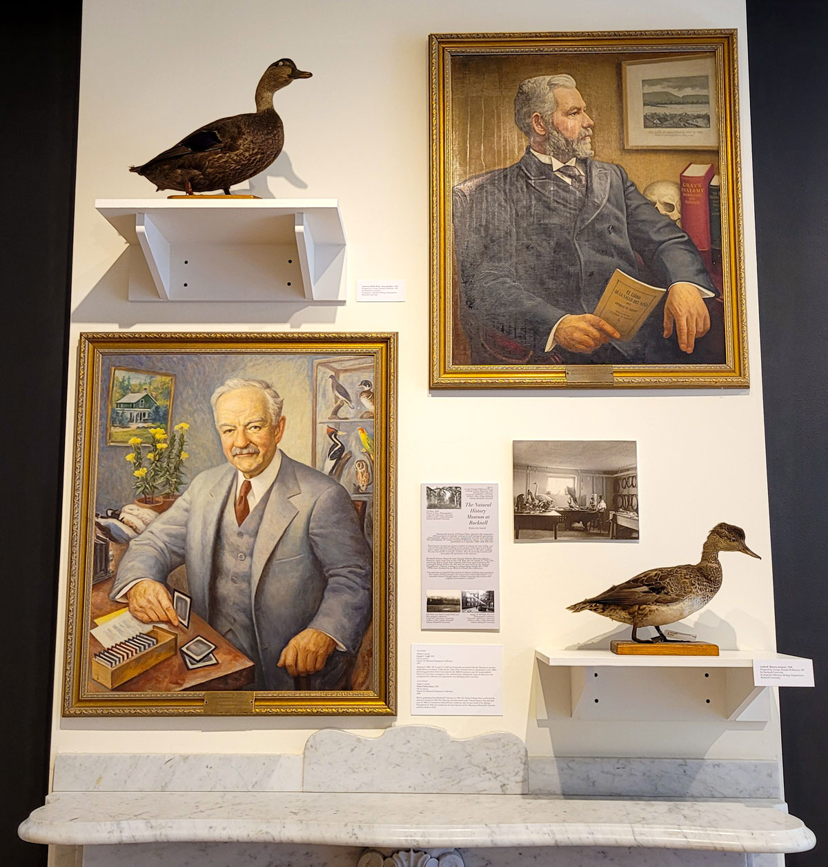 George Groff (top right) and Nelson F. Davis were curators of Bucknell’s earliest biology collections
