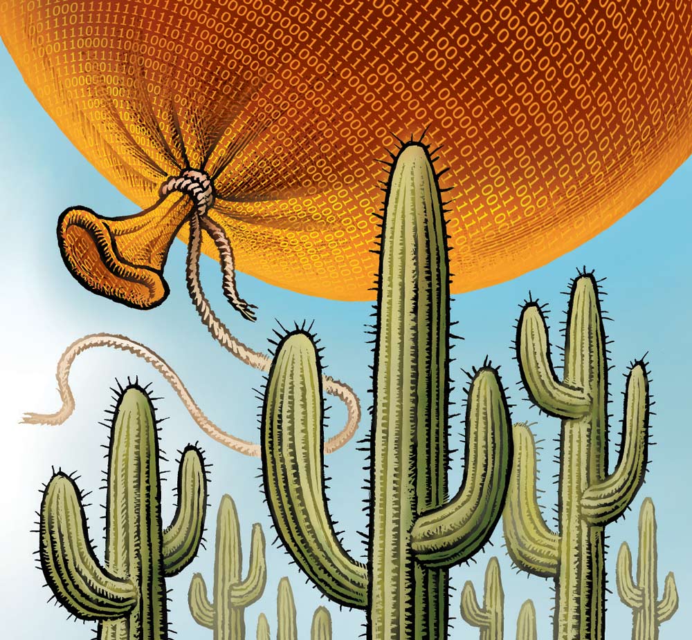 Cactus illustration