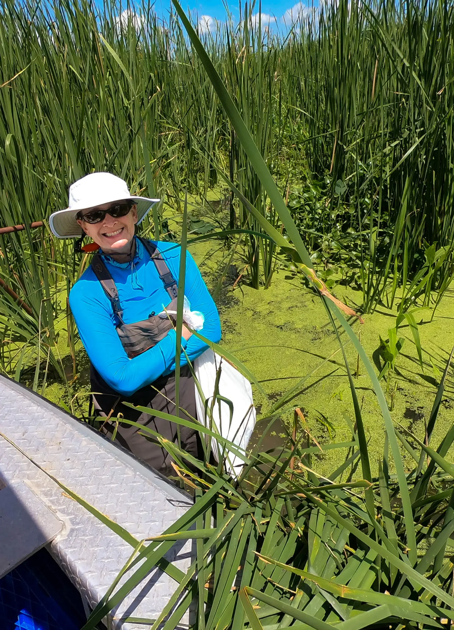 Heidi Nepf studying vegetation