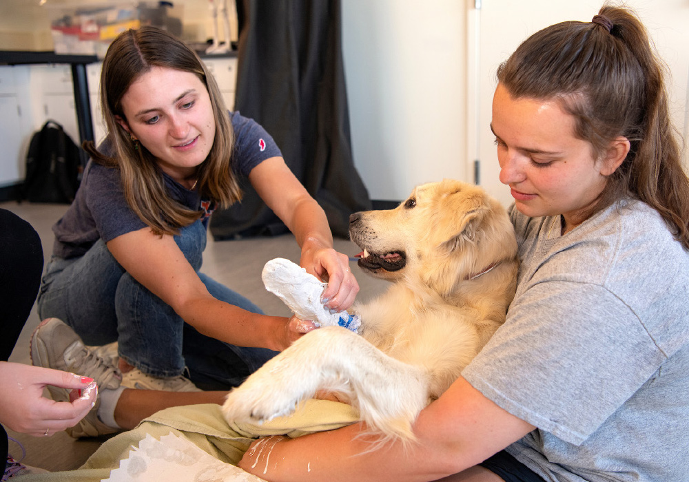 Chelsea Stanton holds Doug while Emma O’Shea is fitting a prosthetic