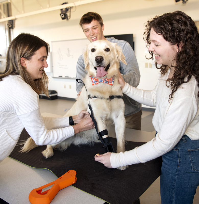 3 students holding golden retriever