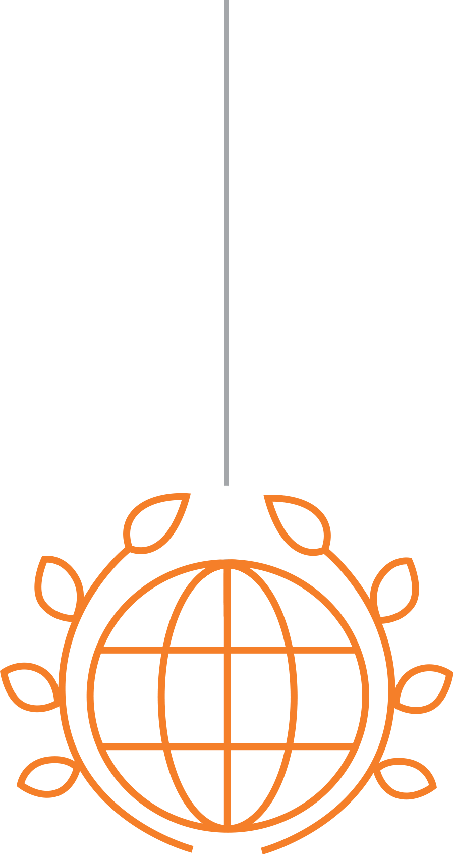 orange globe icon
