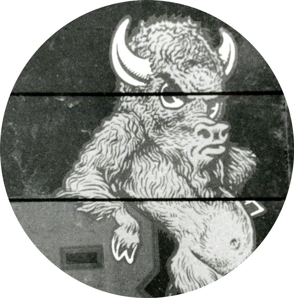 Cartoon drawing of the Bison