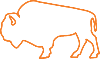 Bison icon