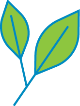 green leaf