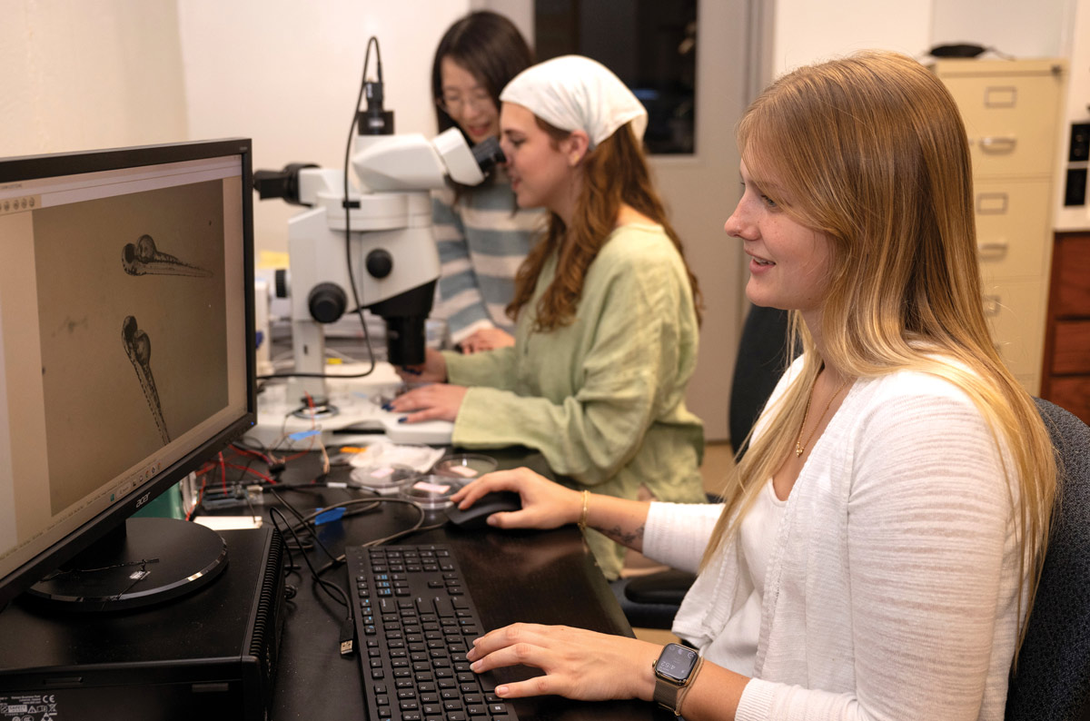 Capri Mills and Sam Thompson examining larval zebrafish with a computer and a microscope, with a fellow student in the background working with them