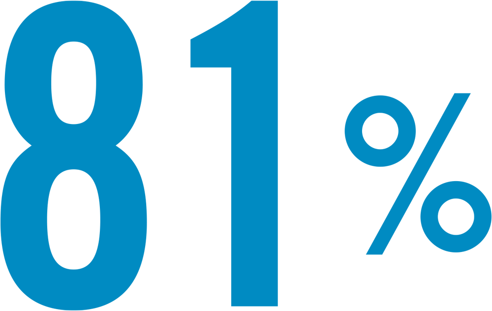 81%