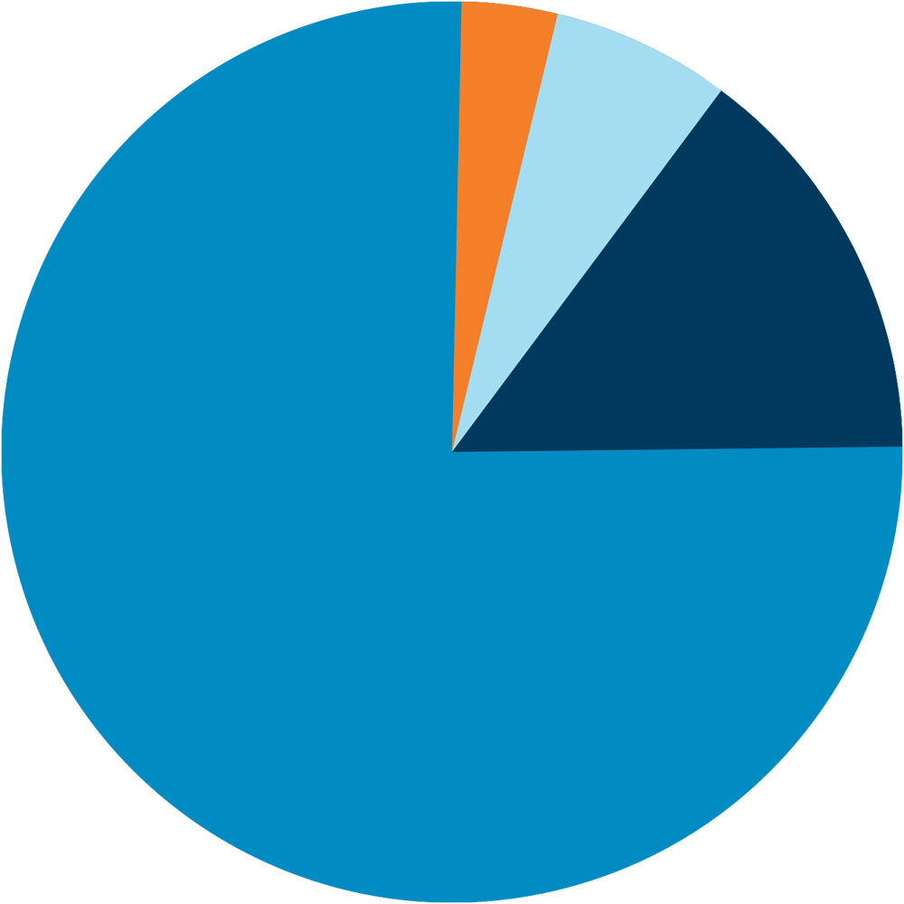 pie chart