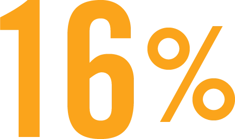 16%
