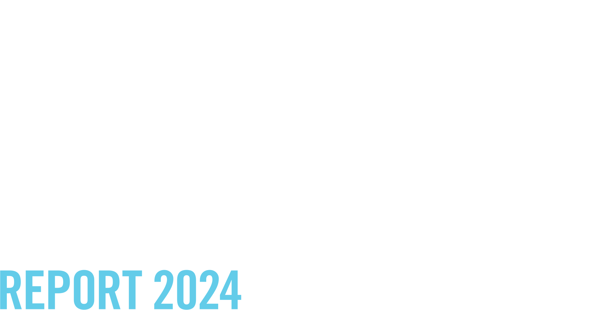 Freeman College of Management Report 2024