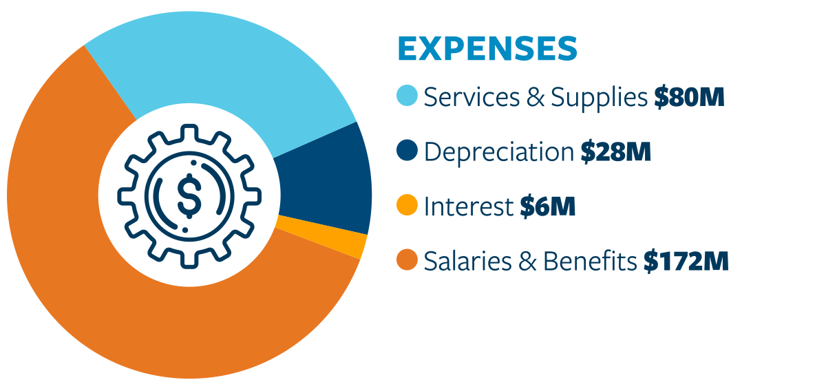 pie chart; Services & Supplies $80M, Depreciation $28M, Interest $6M, Salaries & Benefits $172M