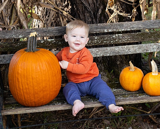 Pumpkins at the Farm