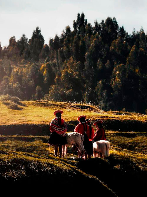 Caminar con Alma:  La Historia Viva de Cusco