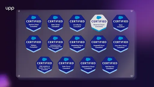 Caption: Salesforce Consultant Credentials to Quality for Salesforce Consulting
